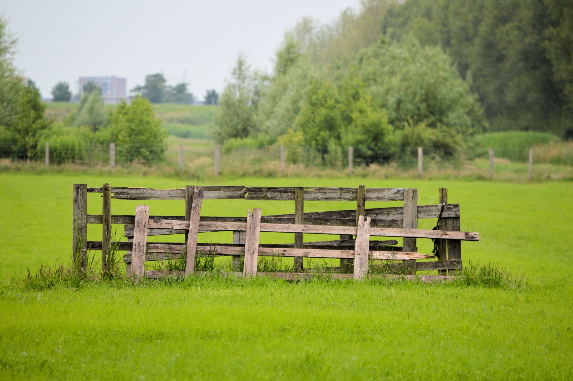 fence fencing pasture free photo