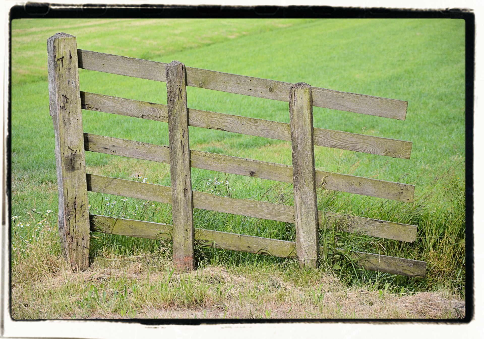 fence pasture peasant free photo