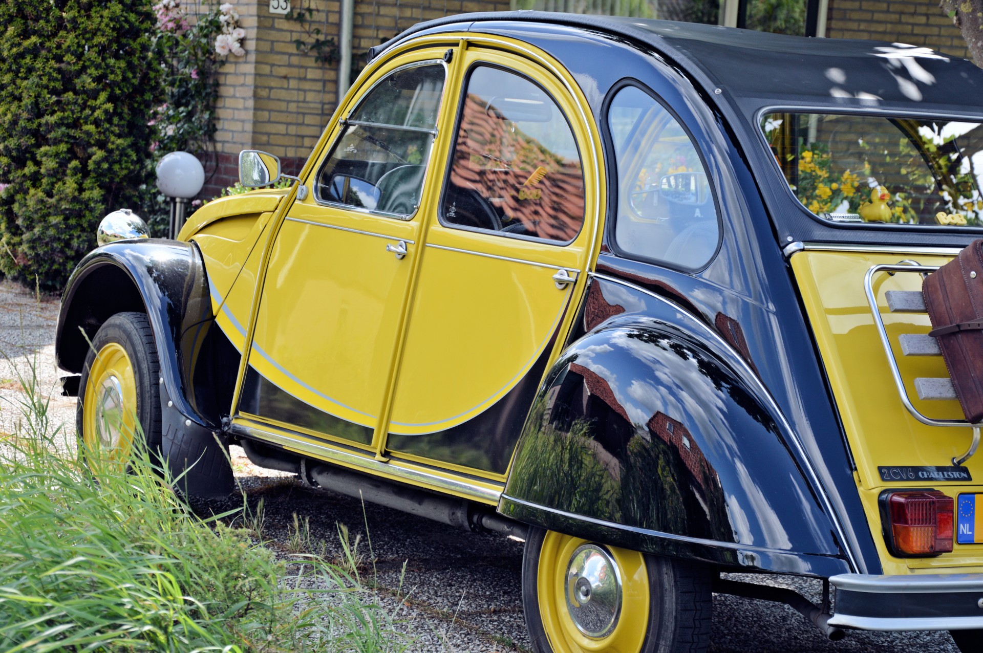 car duck vehicle free photo