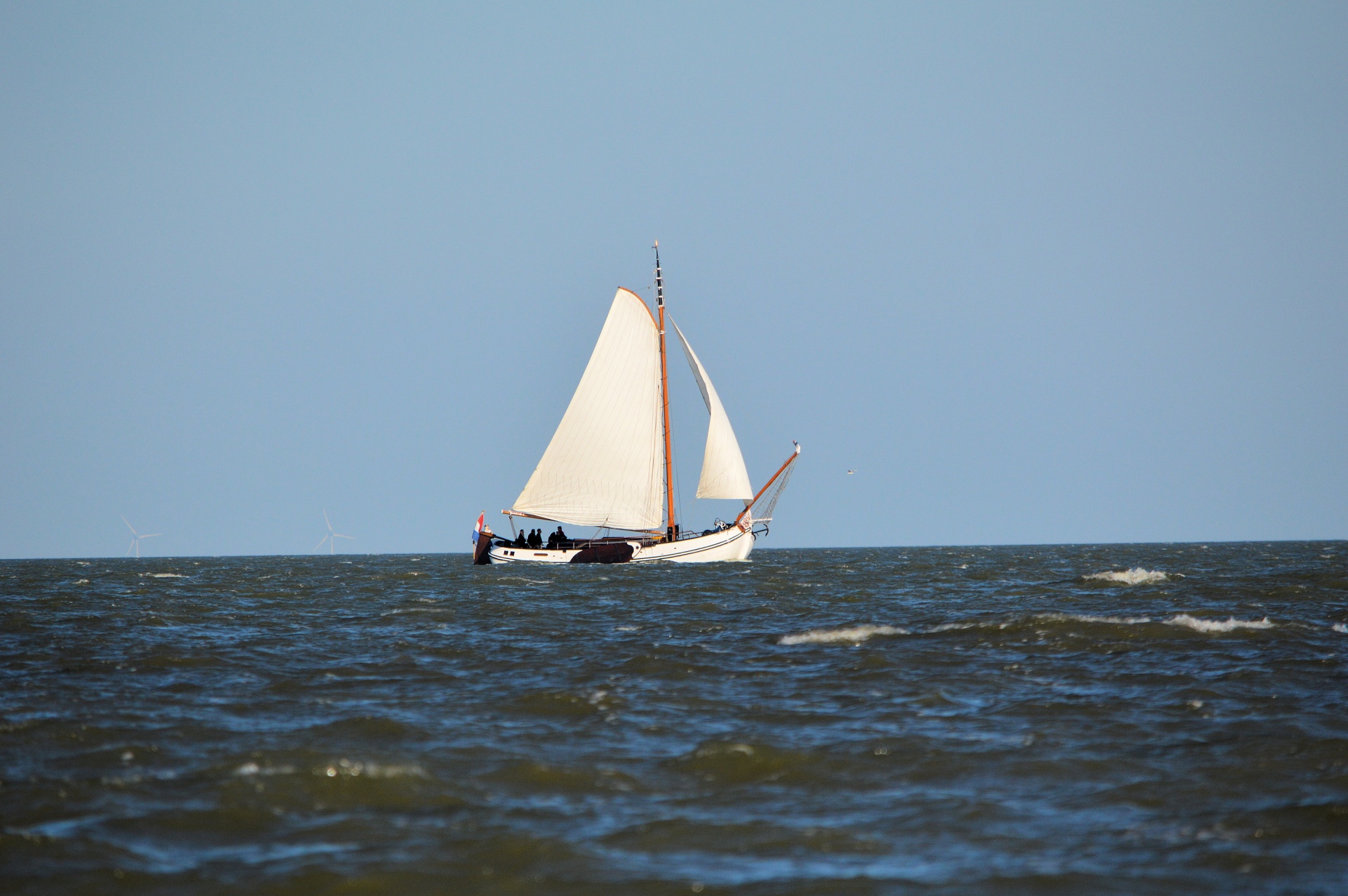 sailboat authentic flatboat free photo