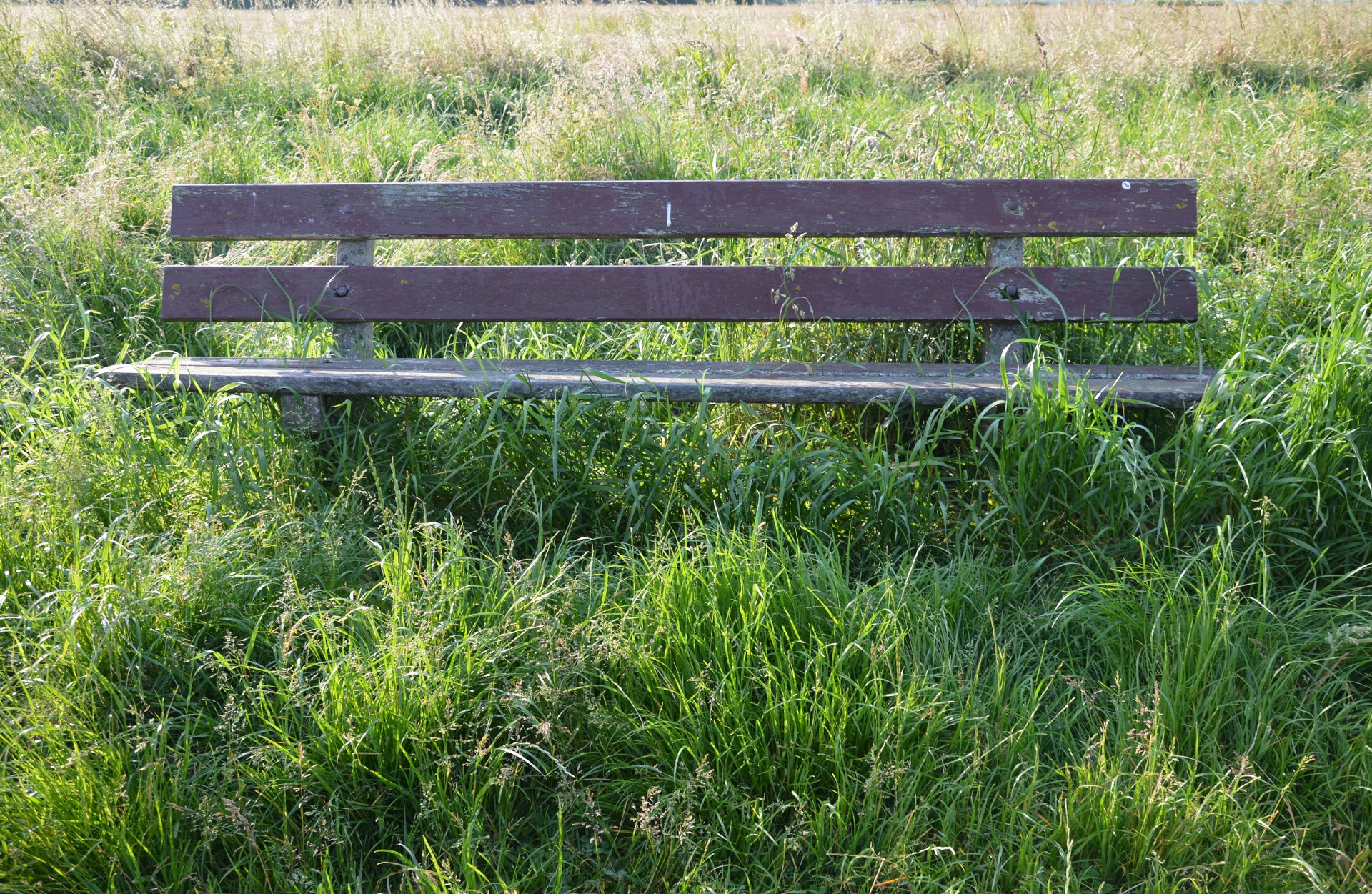 bench resting place nature free photo