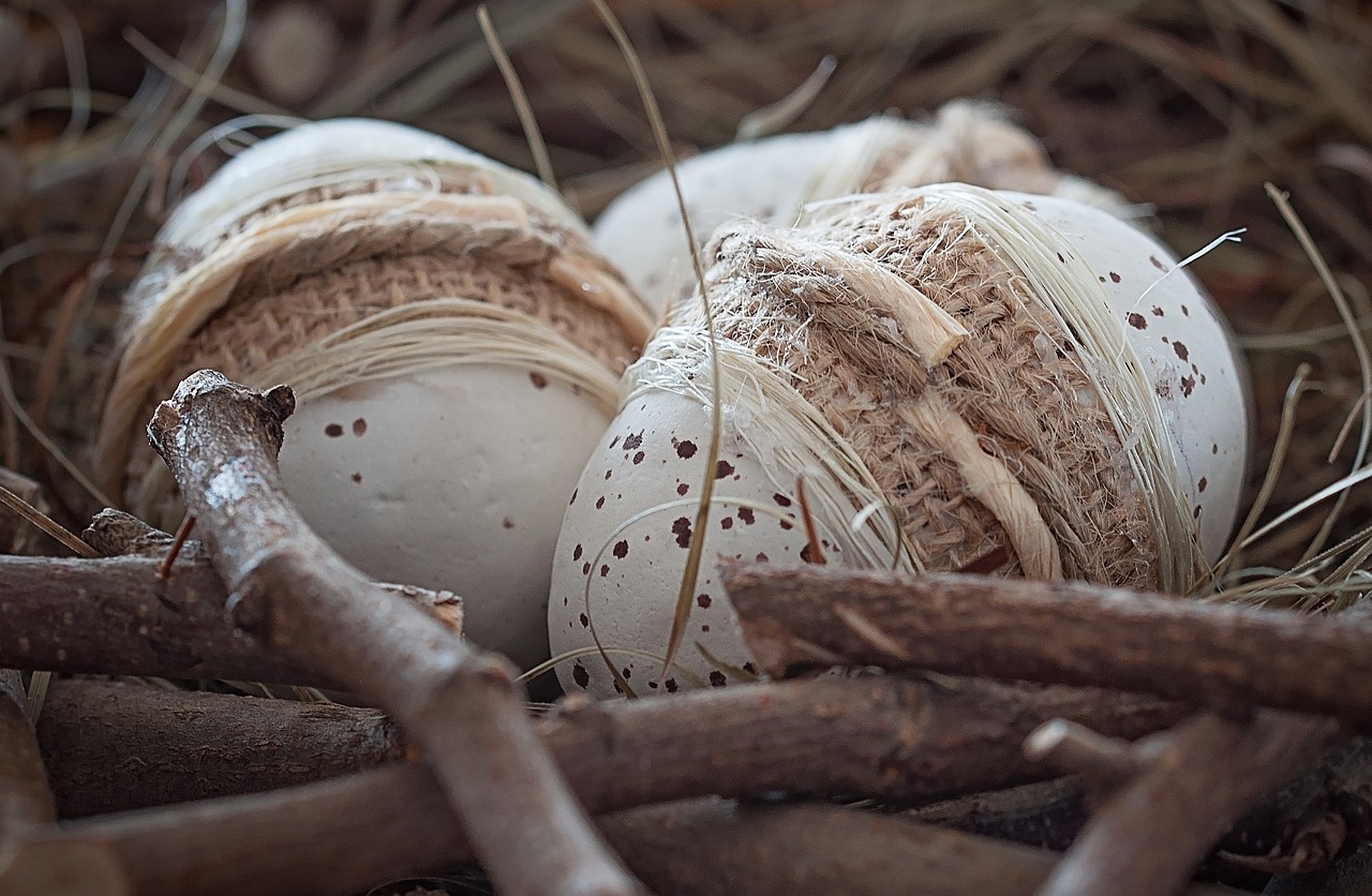 egg easter eggs tinker free photo