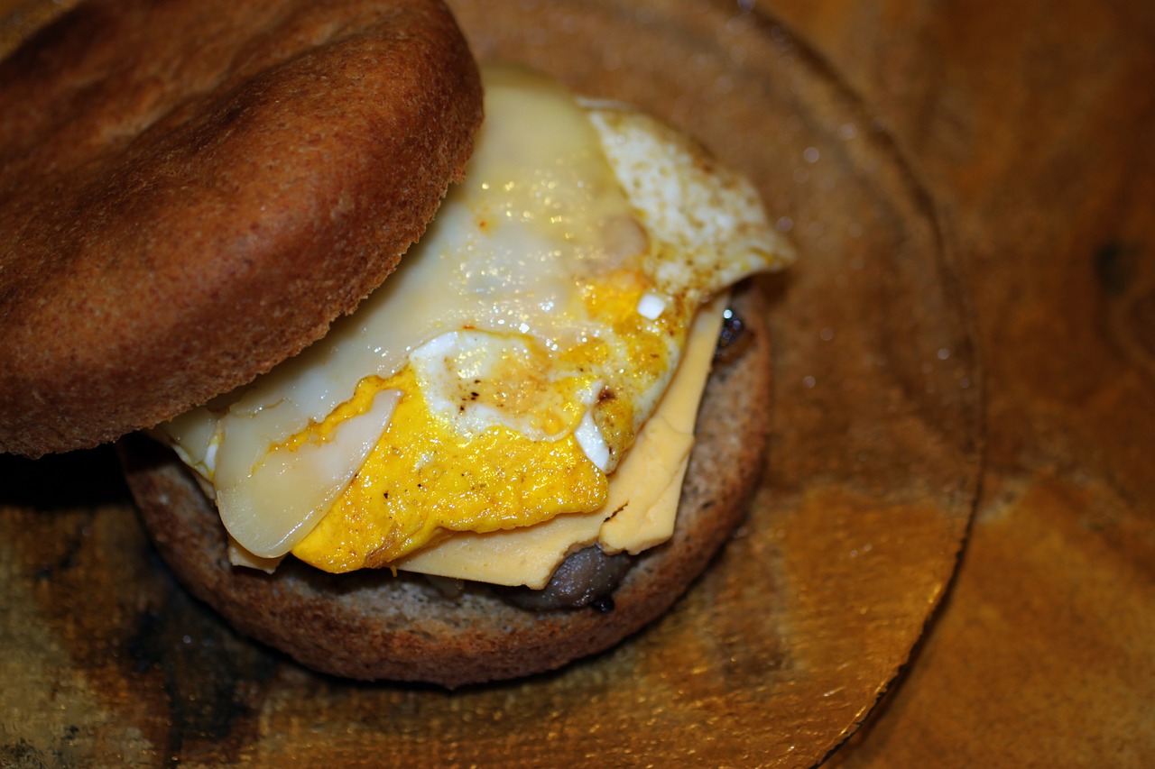 egg sandwich spelt free photo