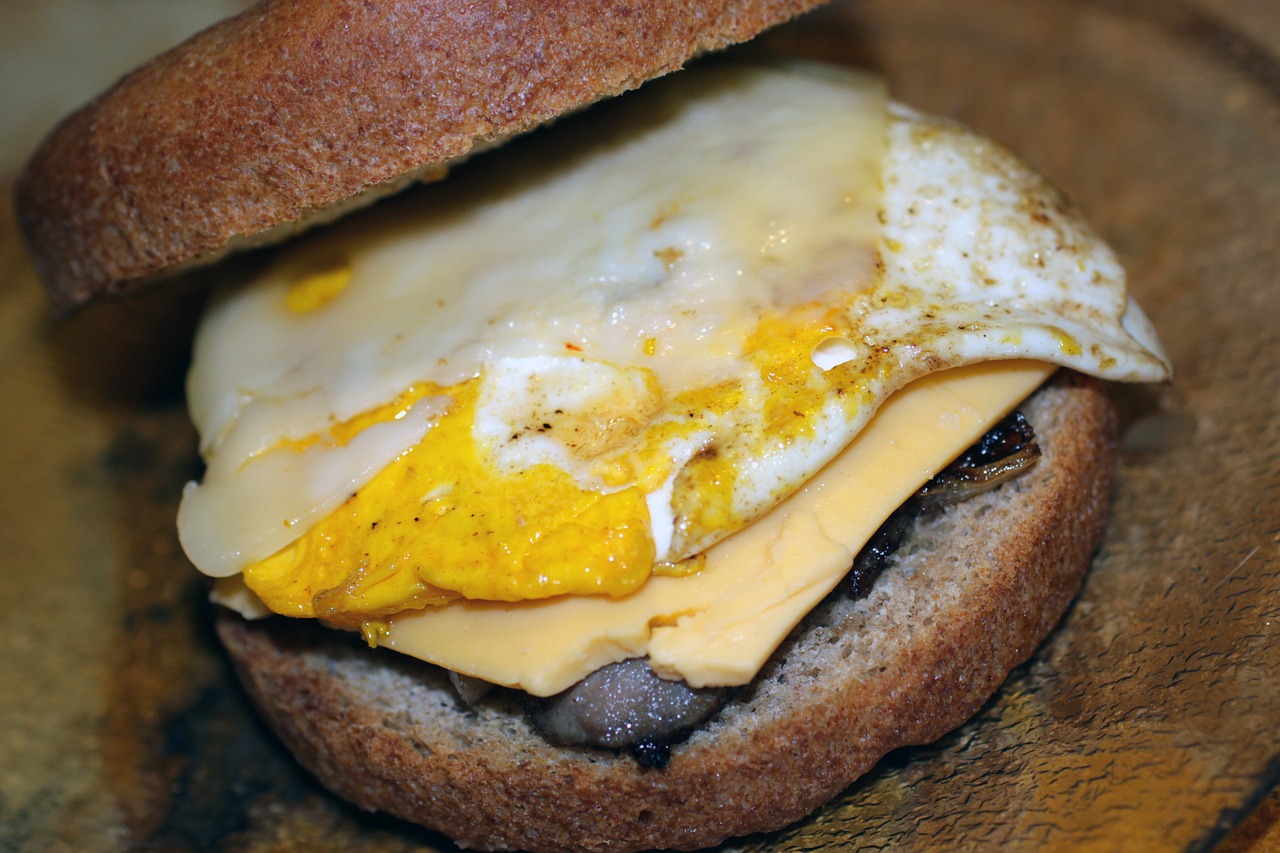 egg sandwich spelt free photo