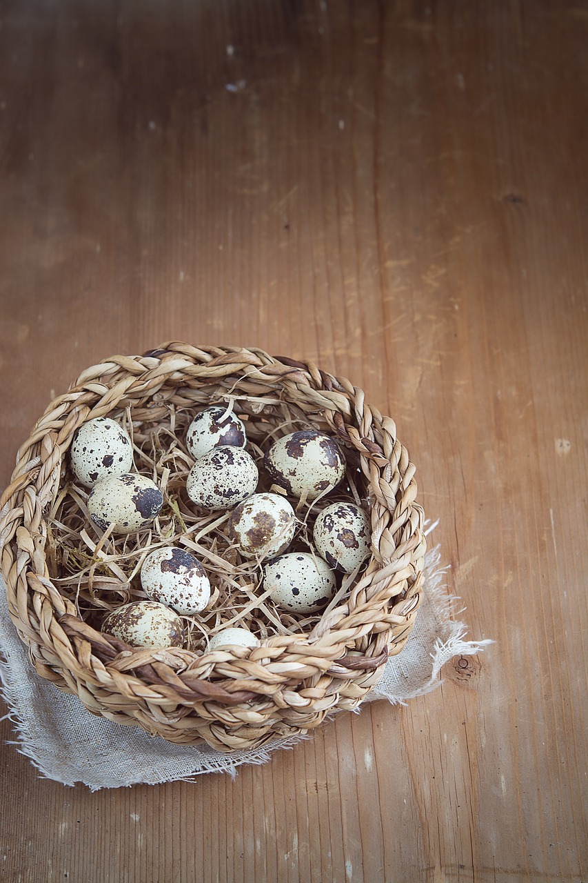 egg quail eggs basket free photo