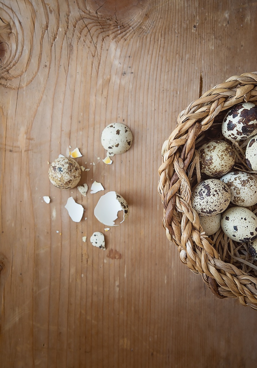 egg quail eggs broken free photo