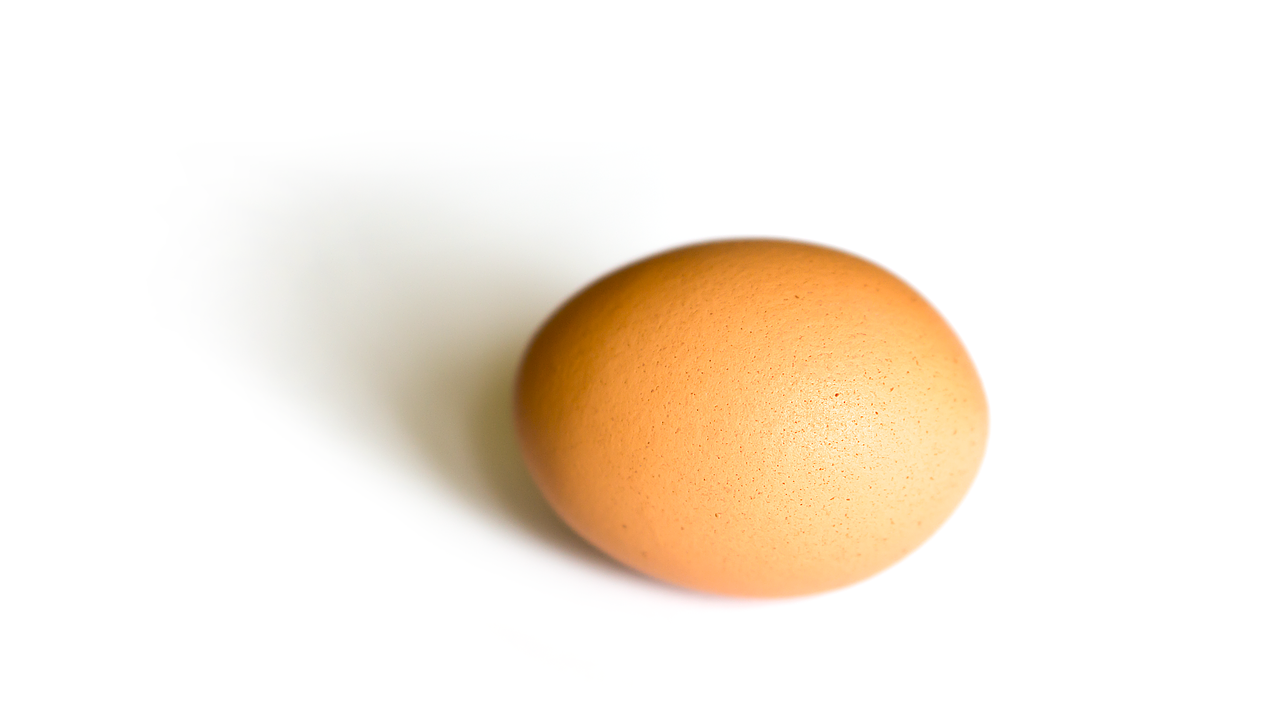 egg food shell free photo