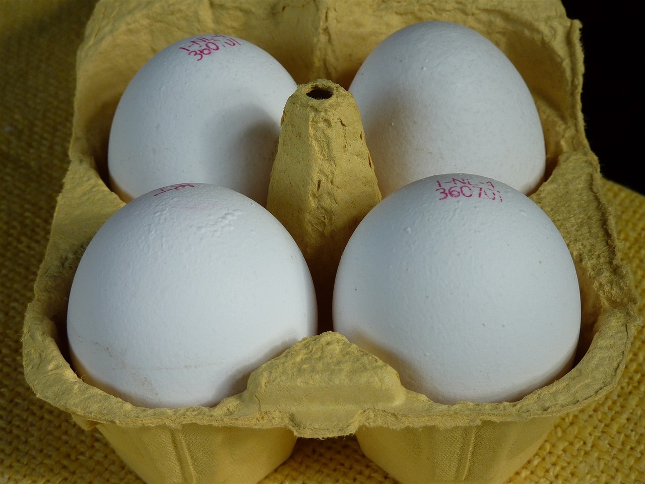 egg egg carton egg box free photo