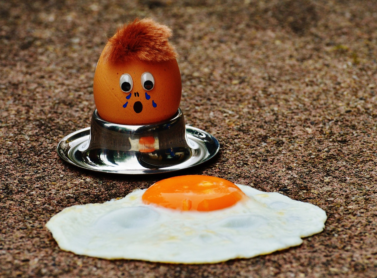 egg fried mourning free photo