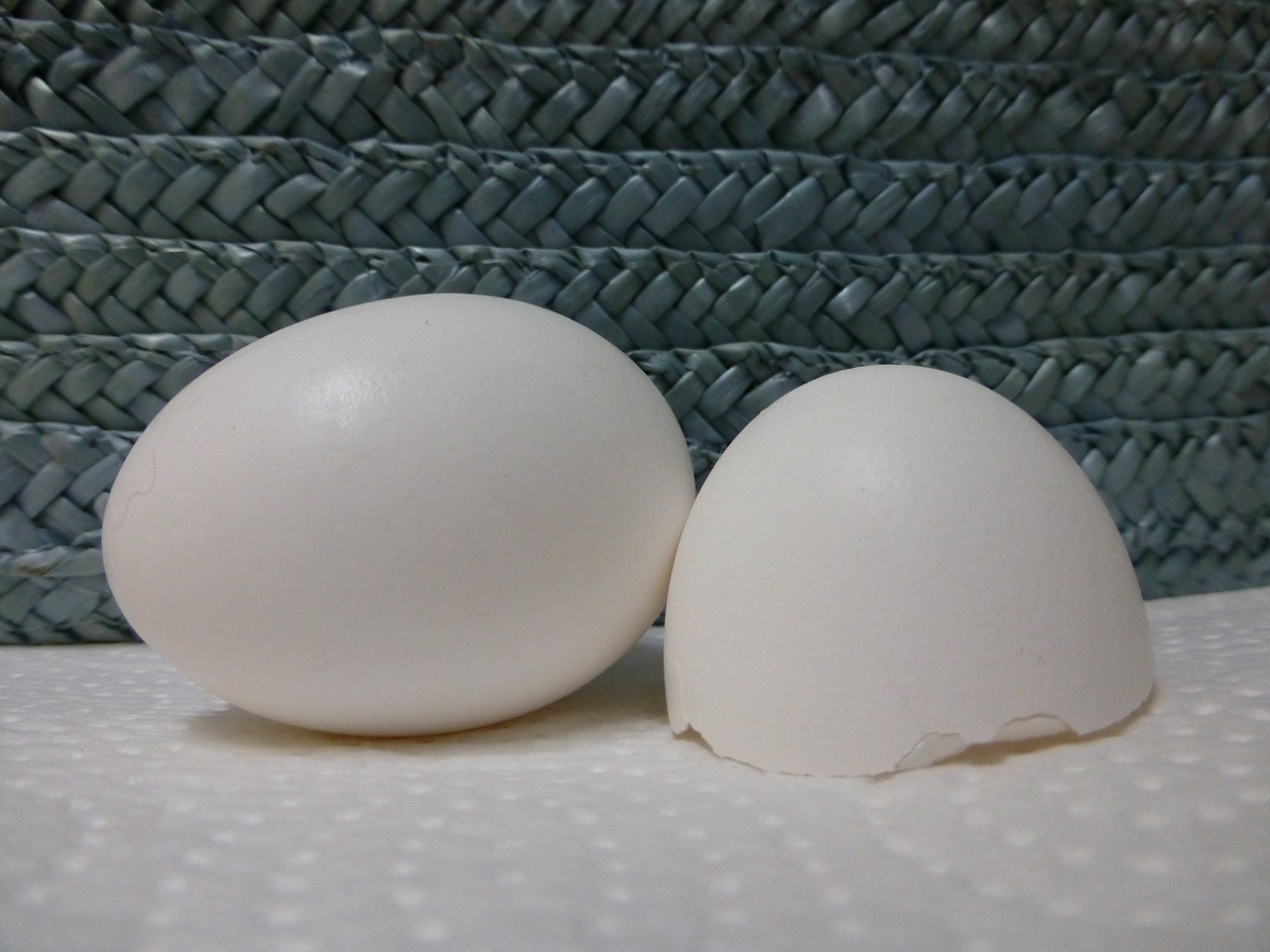 egg chicken white free photo