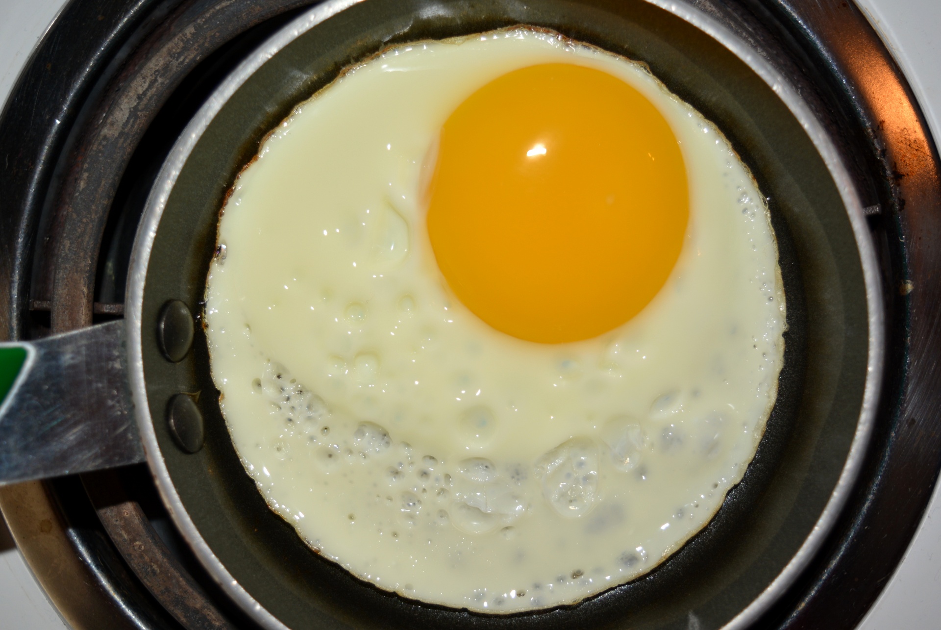 egg eggs pan free photo