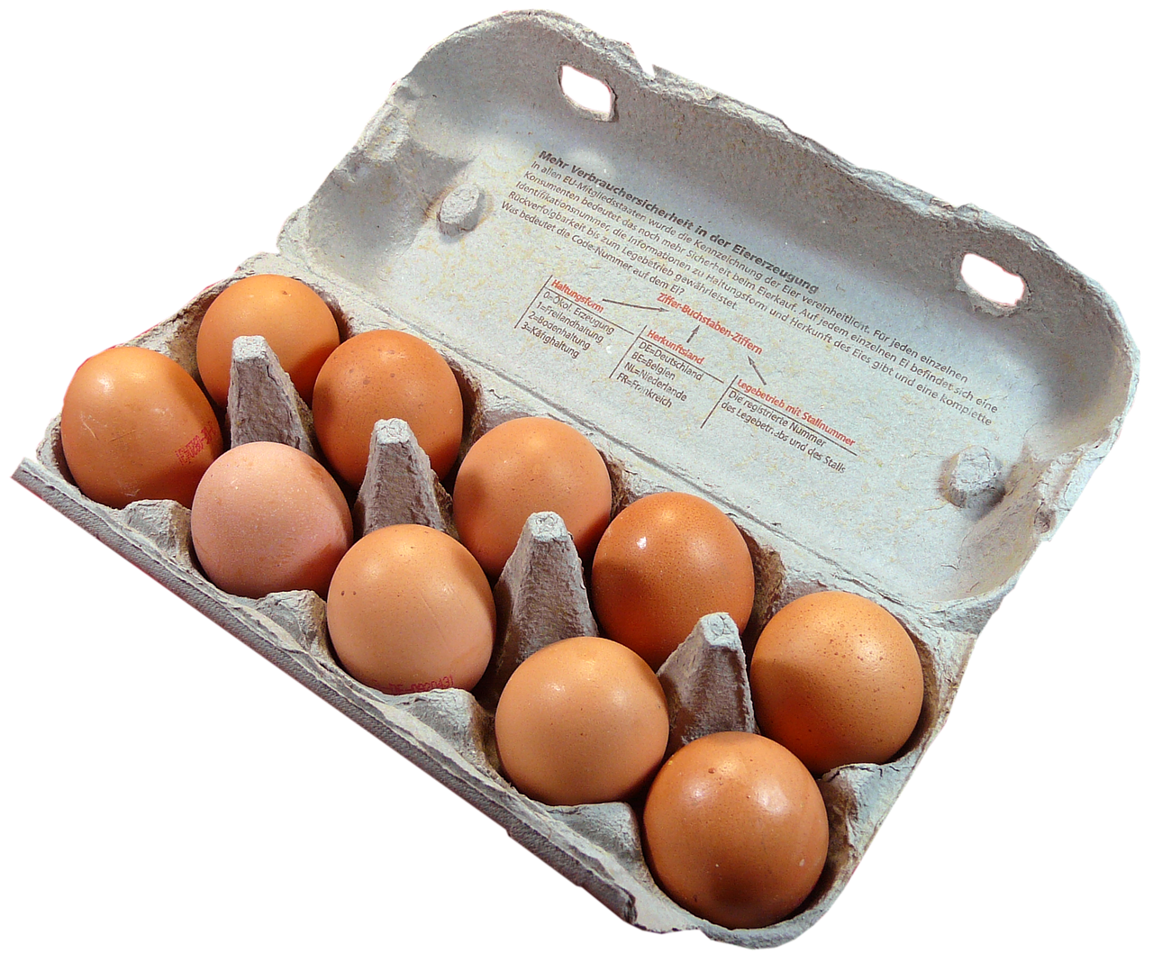 egg pack food free photo