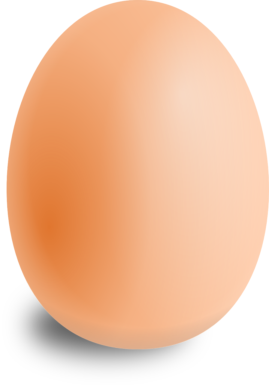 egg oval food free photo