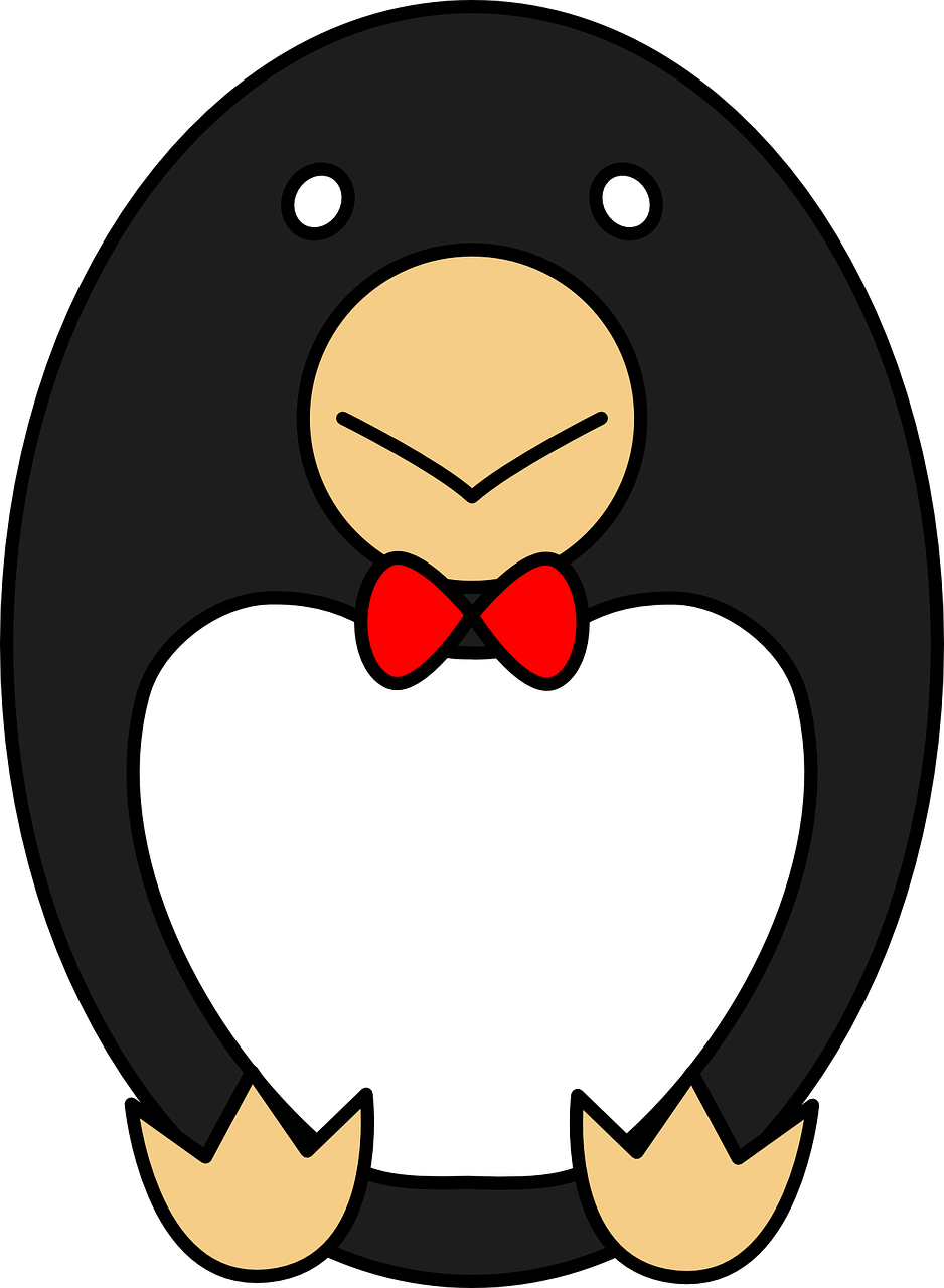 egg penguin animal free photo