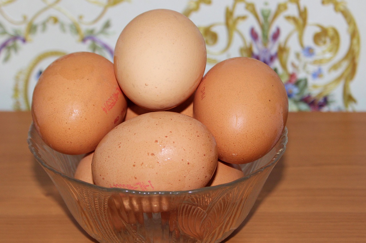 egg chicken eggs nutrition free photo