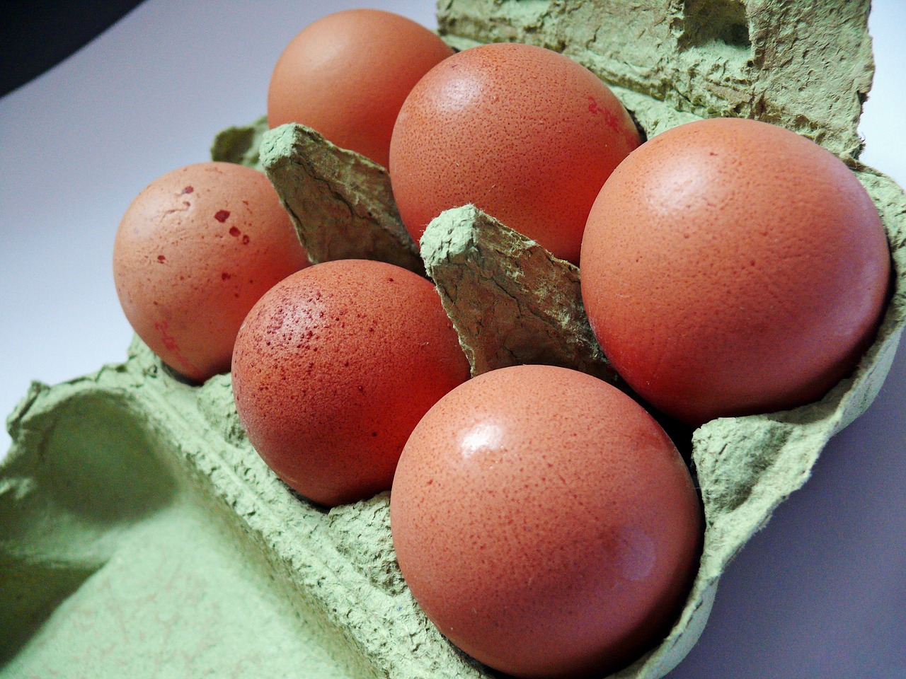 egg egg carton chicken eggs free photo