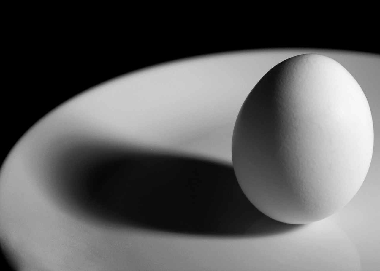 egg breakfast black and white free photo