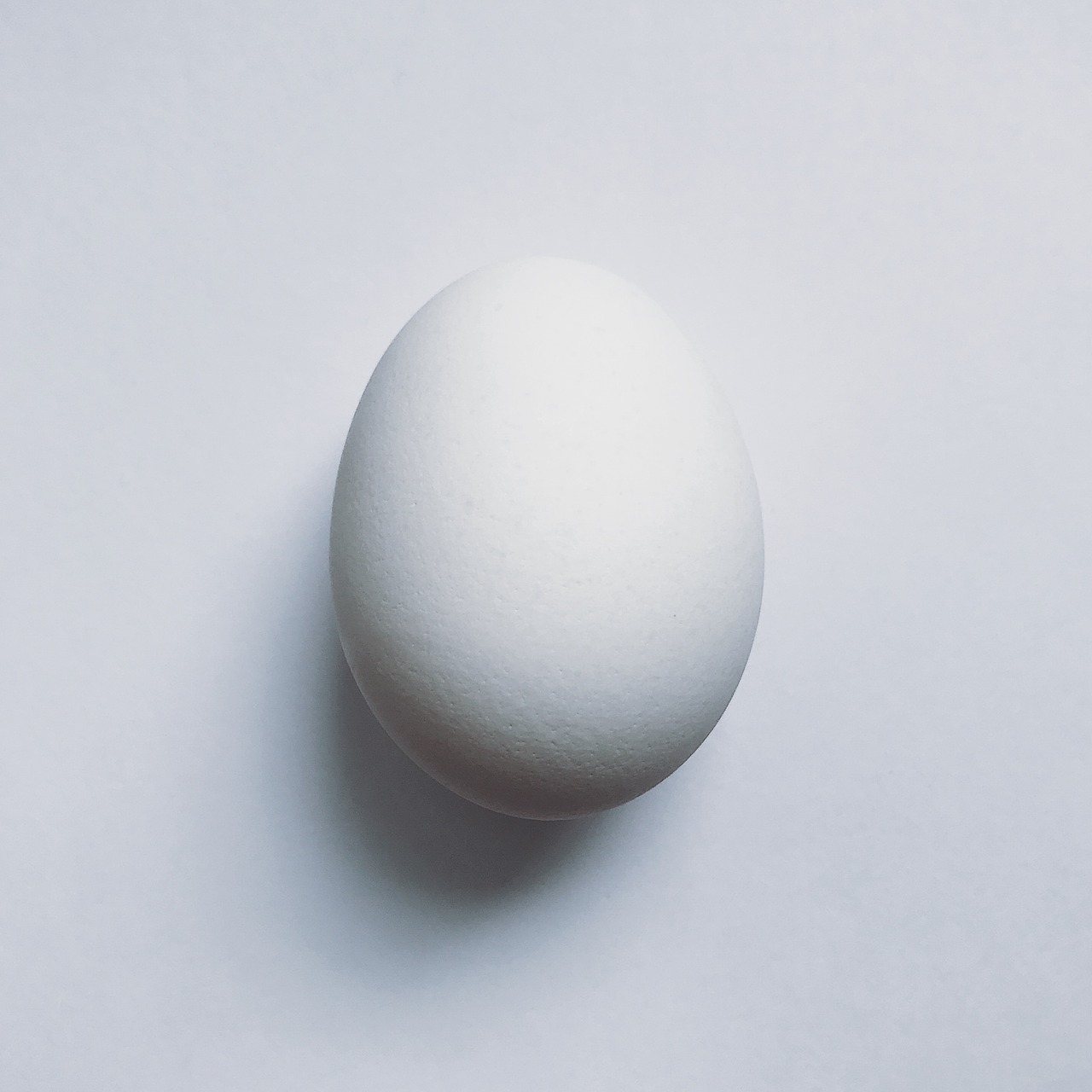 egg food protein free photo