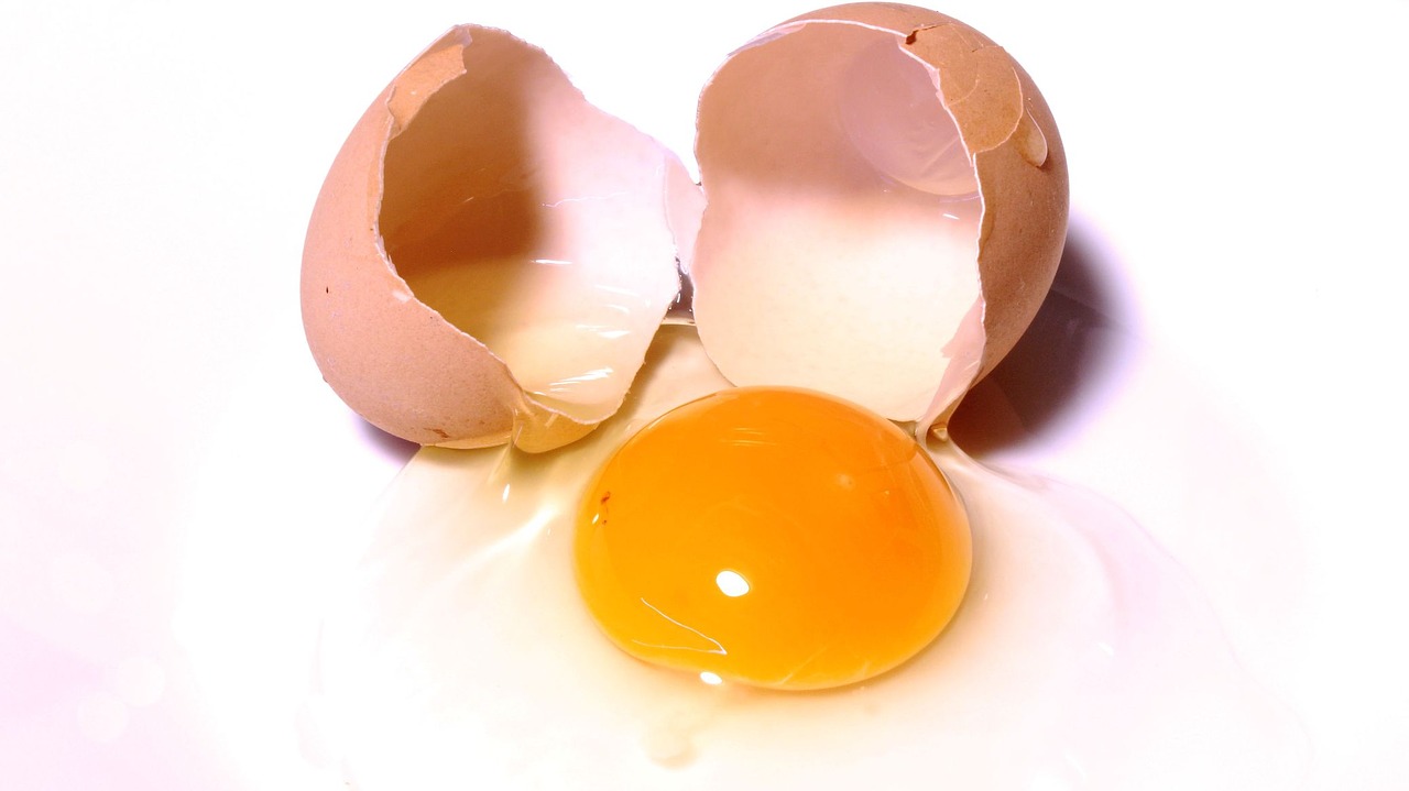 egg eggs food free photo