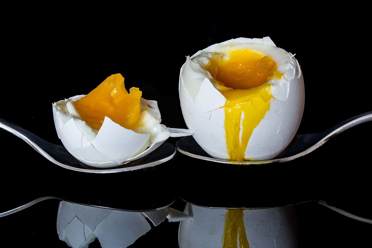 egg bisected egg boiled egg free photo