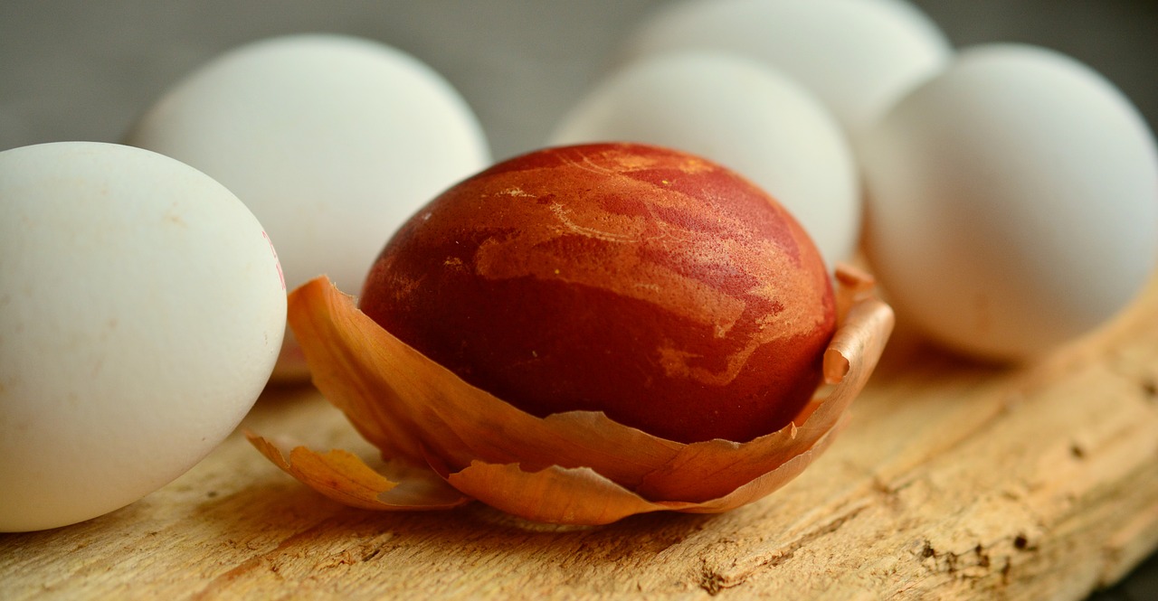 egg easter egg onion skins free photo