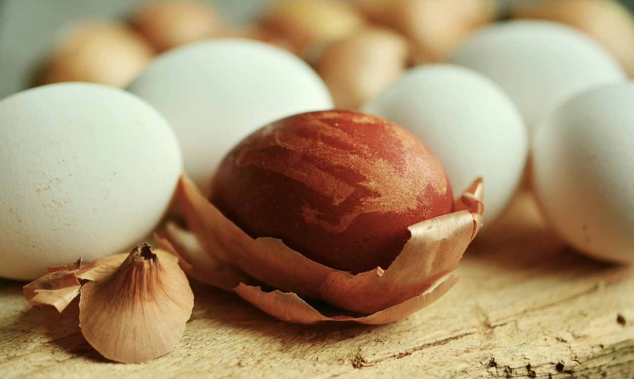 egg easter egg onion skins free photo