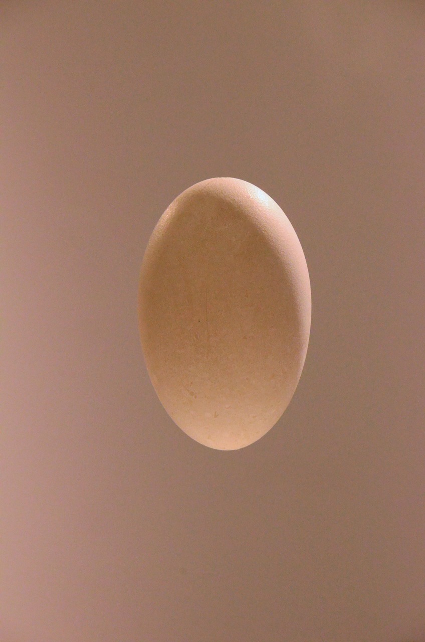 egg oval taupe free photo