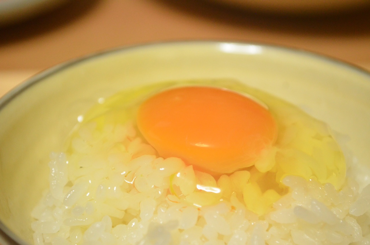 egg huang food free photo