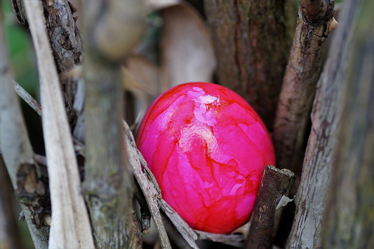 egg easter eggs easter free photo