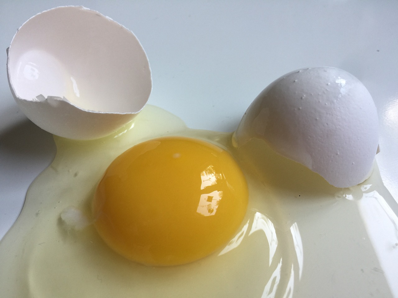 egg broken egg white egg free photo