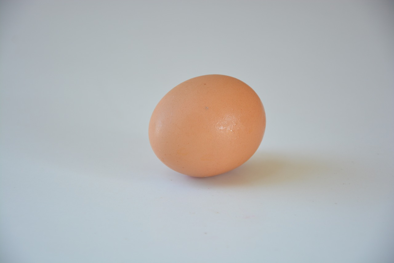 egg chicken egg organic free photo