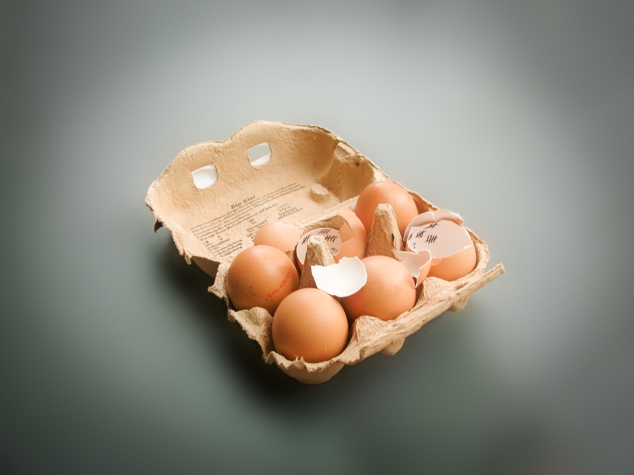 egg box pack free photo