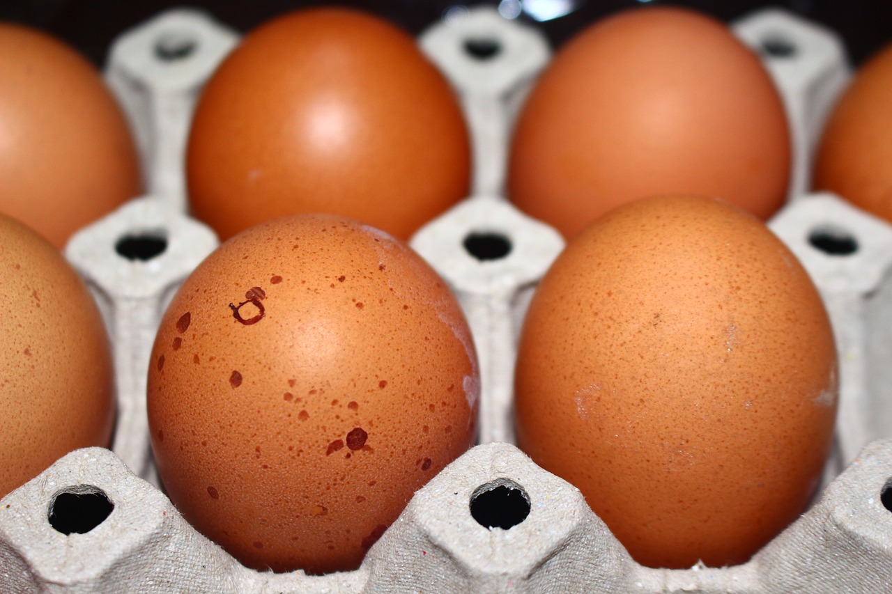 Egg,eggs,food,foods,breakfast - free image from needpix.com