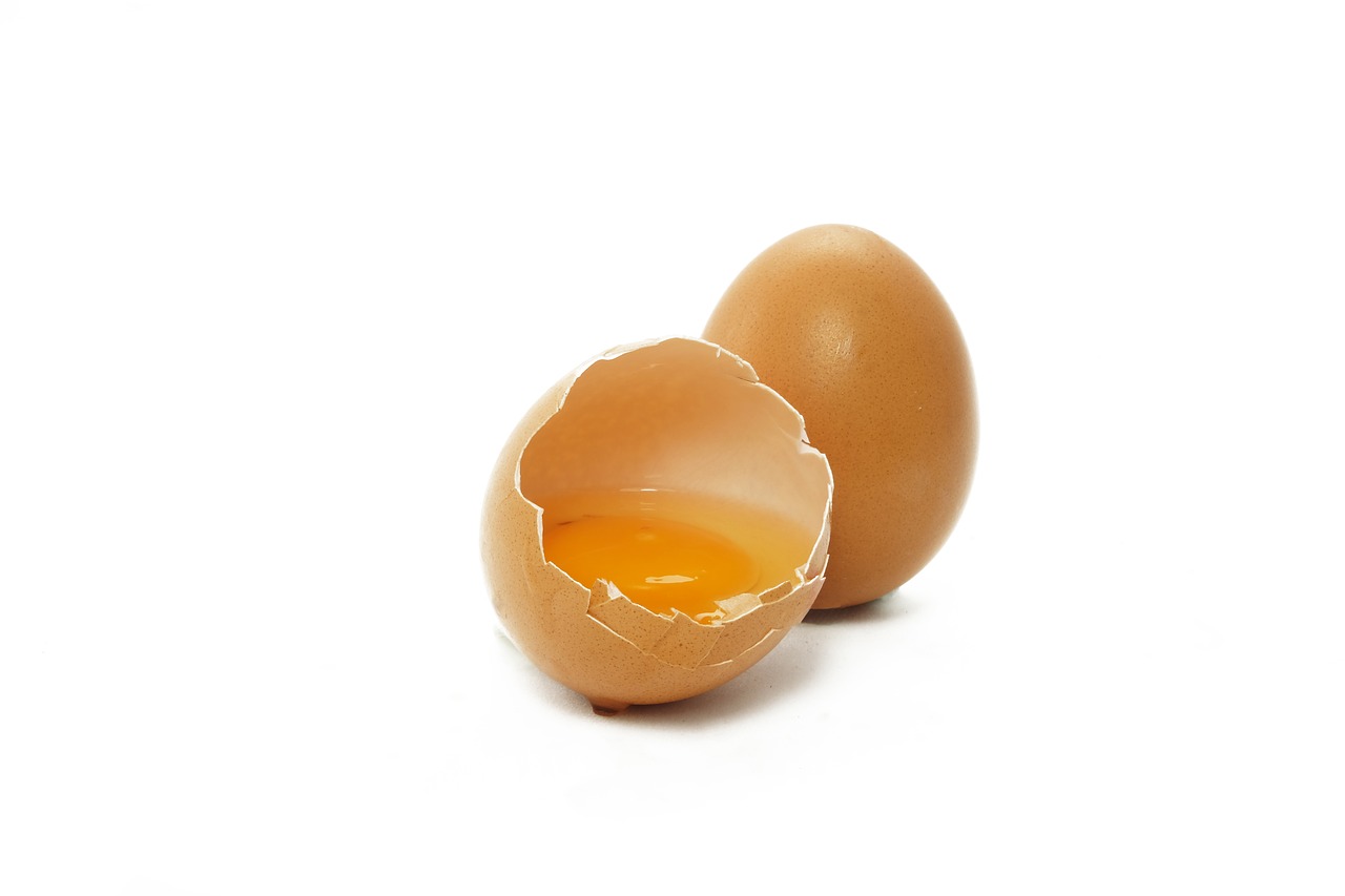 egg yolk food free photo