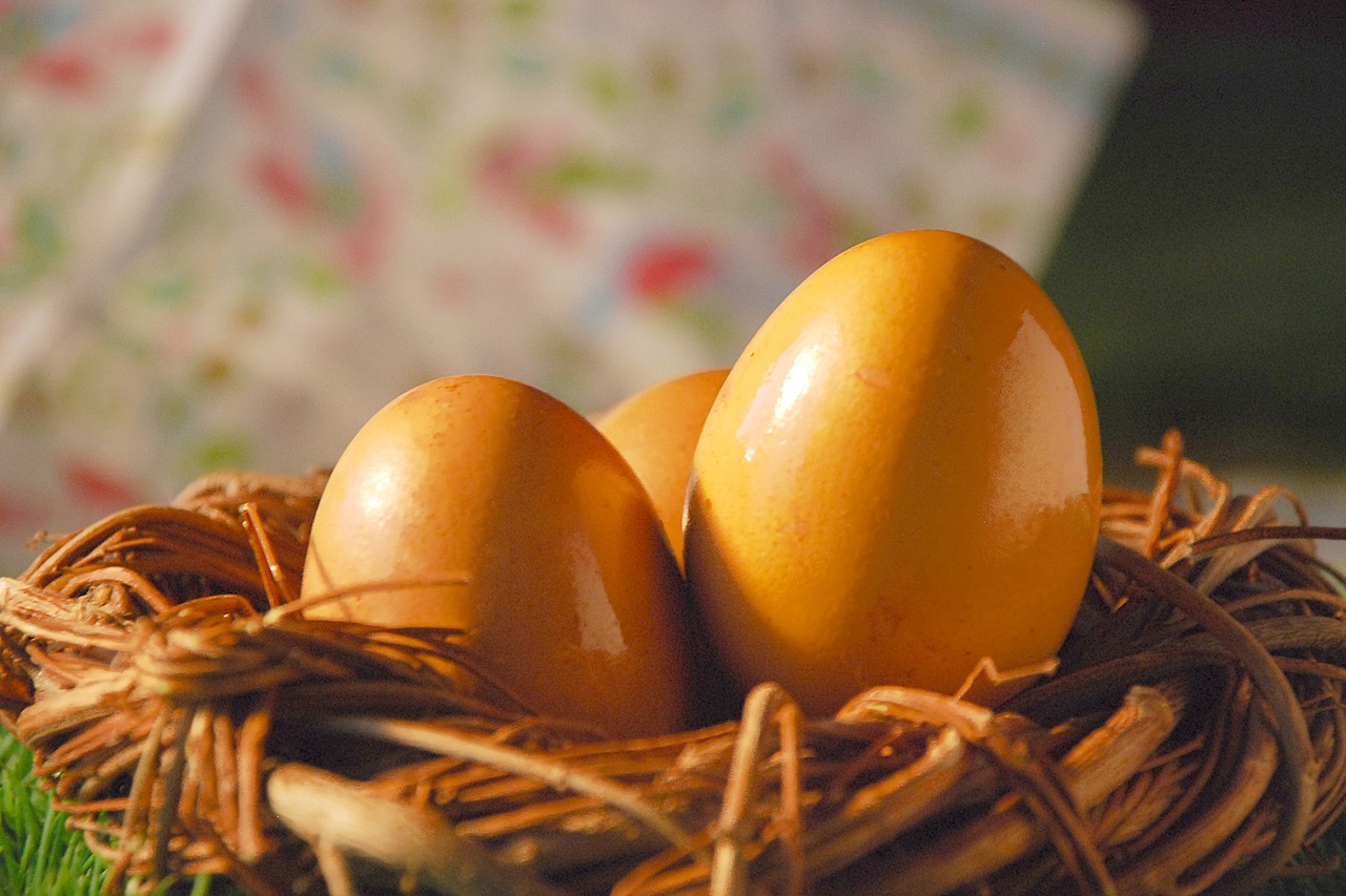 egg eggs easter free photo