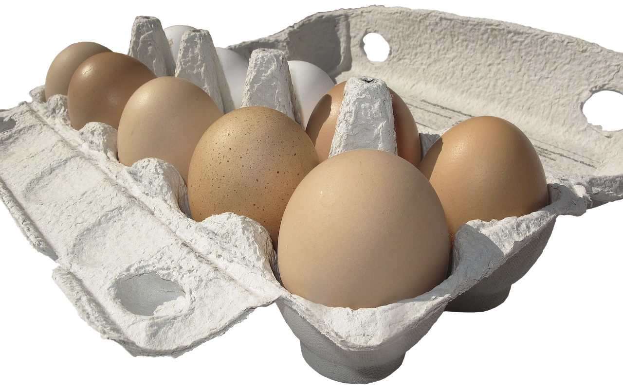 egg hen's egg egg carton free photo
