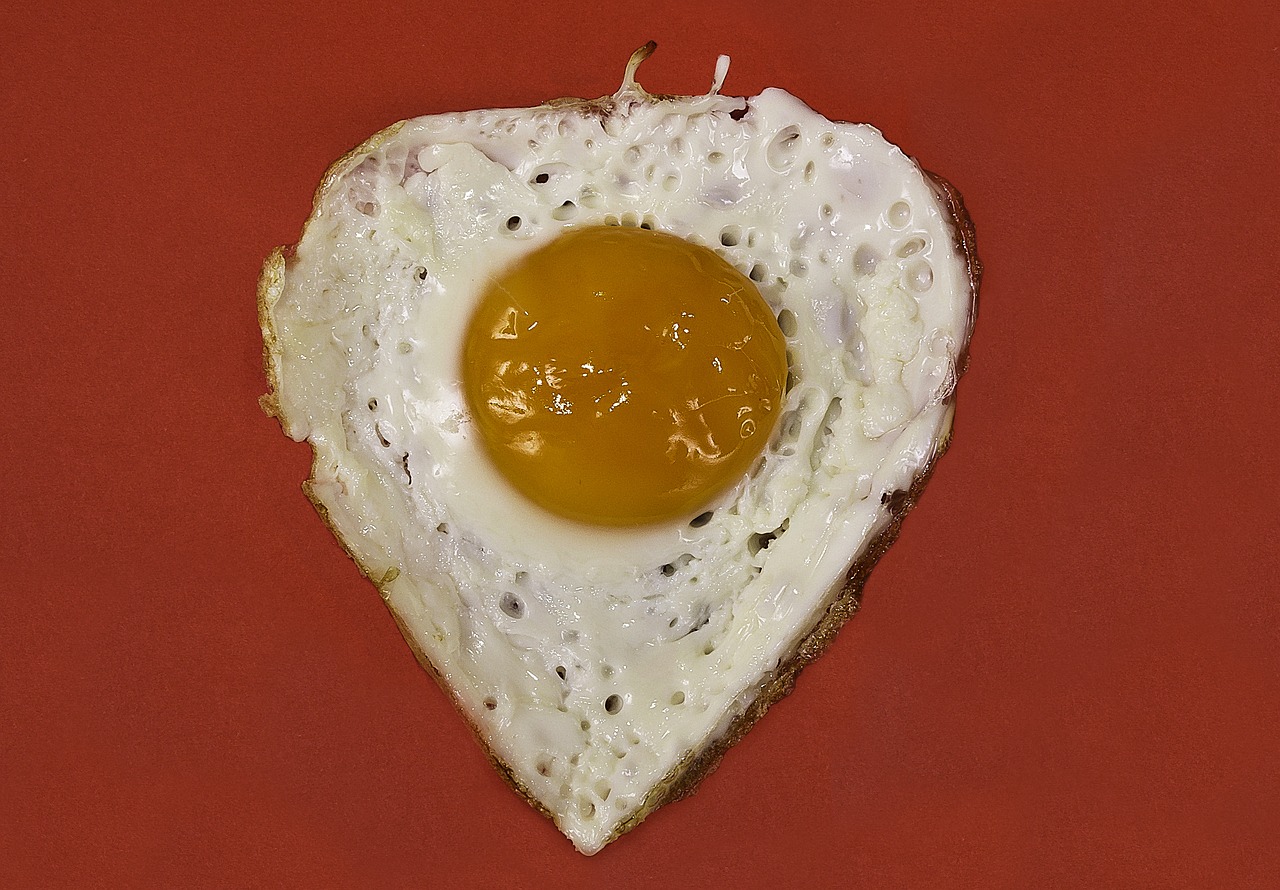 egg fried yolk free photo