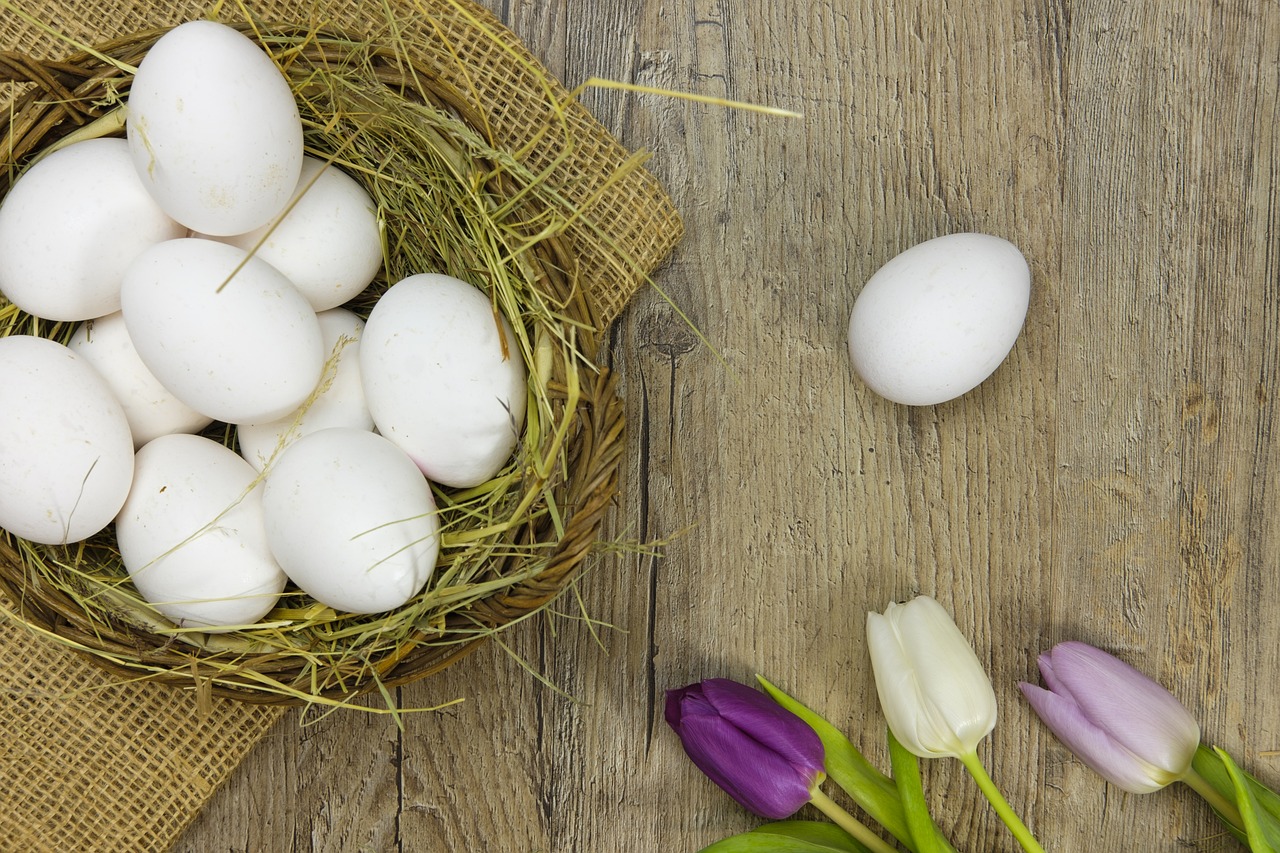 egg easter eggs colorful eggs free photo