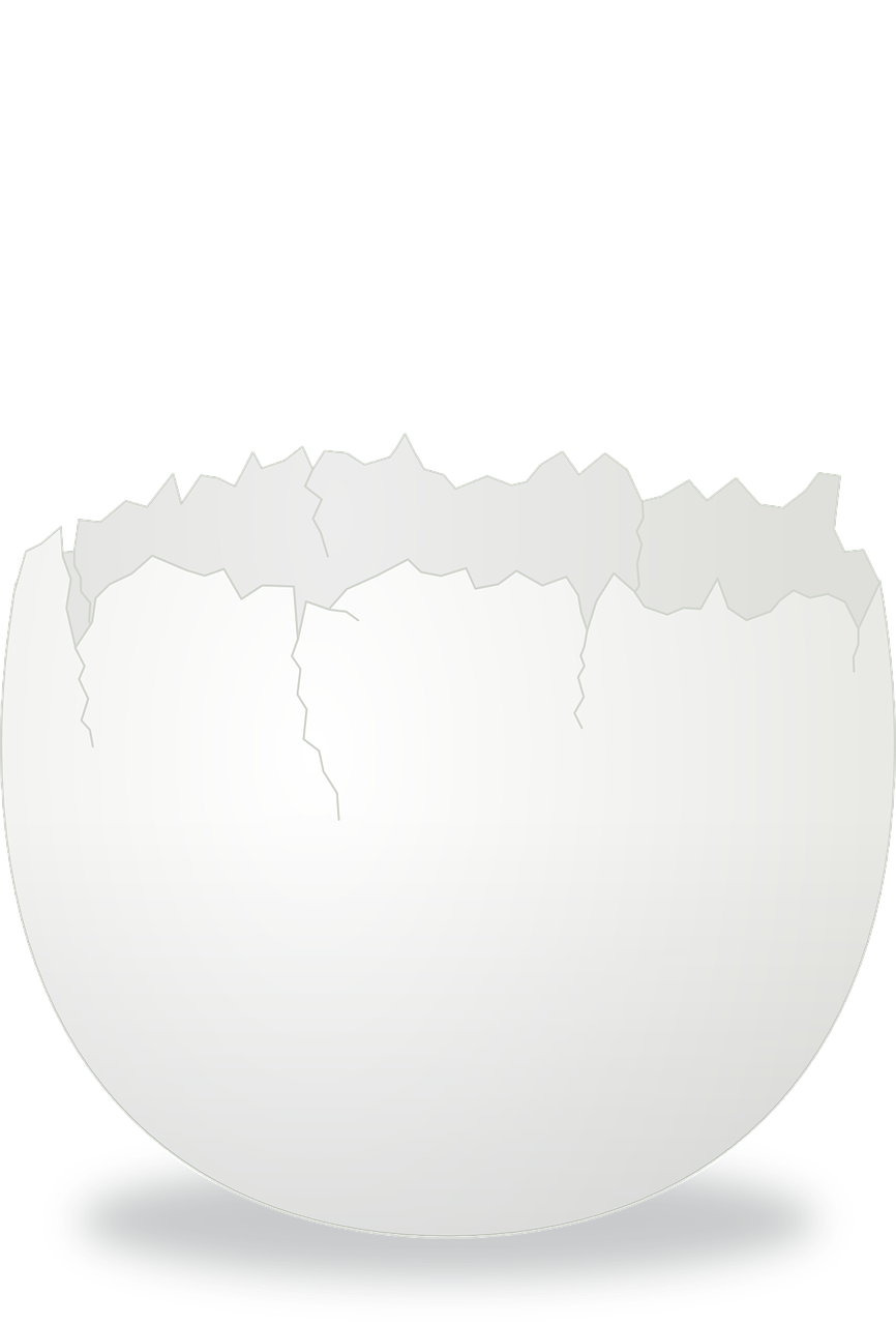 egg,shell,cracked,eggshell,free vector graphics,free pictures, free photos, free images, royalty free, free illustrations, public domain