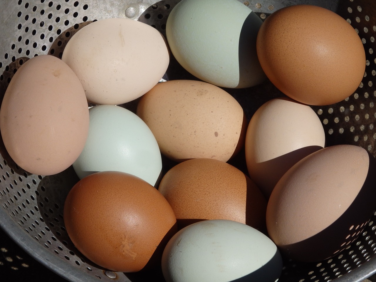 Откладывают большое количество яиц. Яйцо куриное. Много яиц. Домашние куриные яйца. Яйца фото.