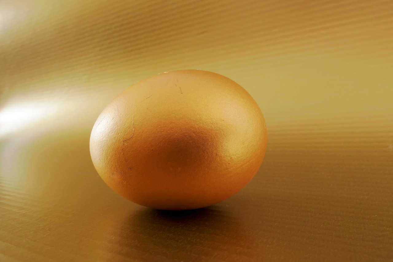 egg protein yolk free photo