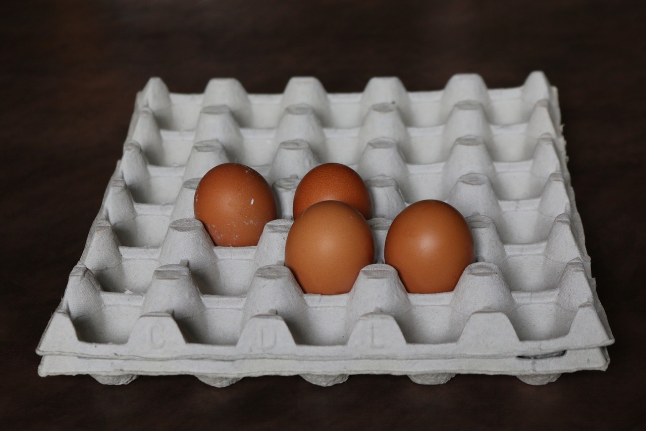 egg egg tray kitchen free photo