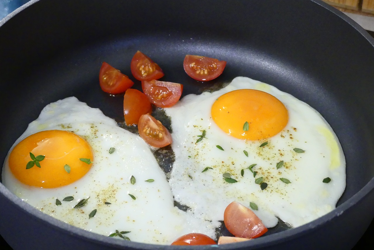 egg  fried  pan free photo