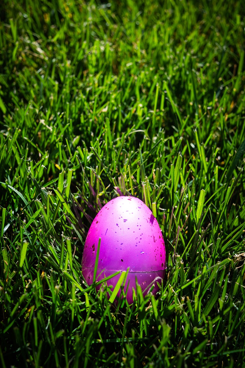 egg  pink  green free photo
