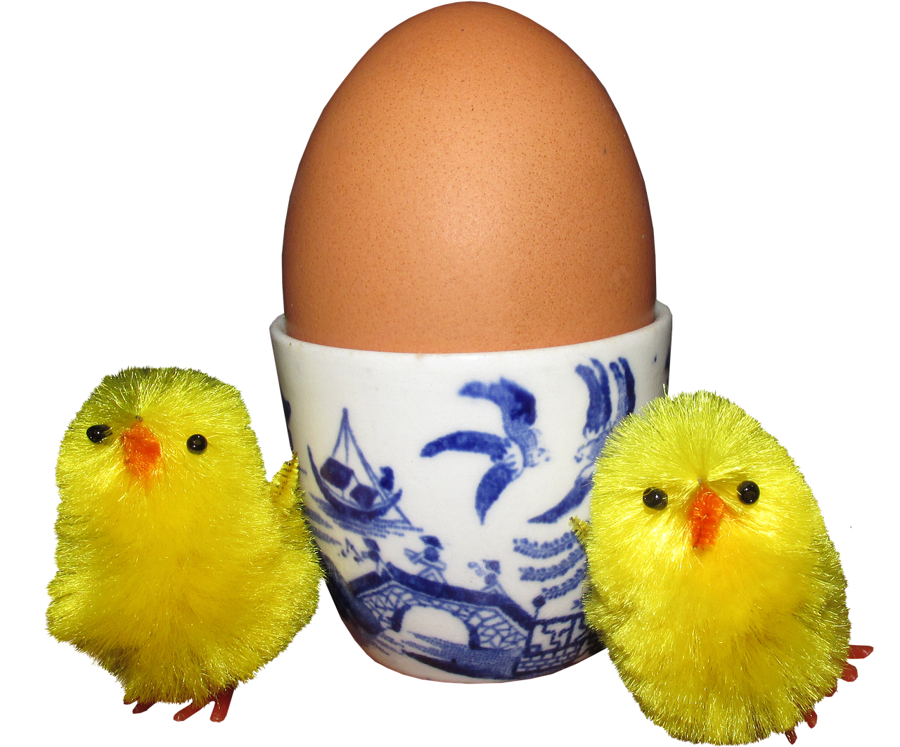 egg  food  meal free photo