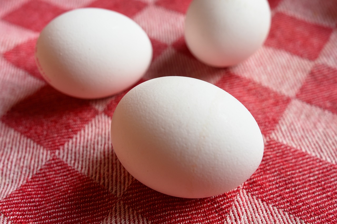 egg  food  nutrition free photo