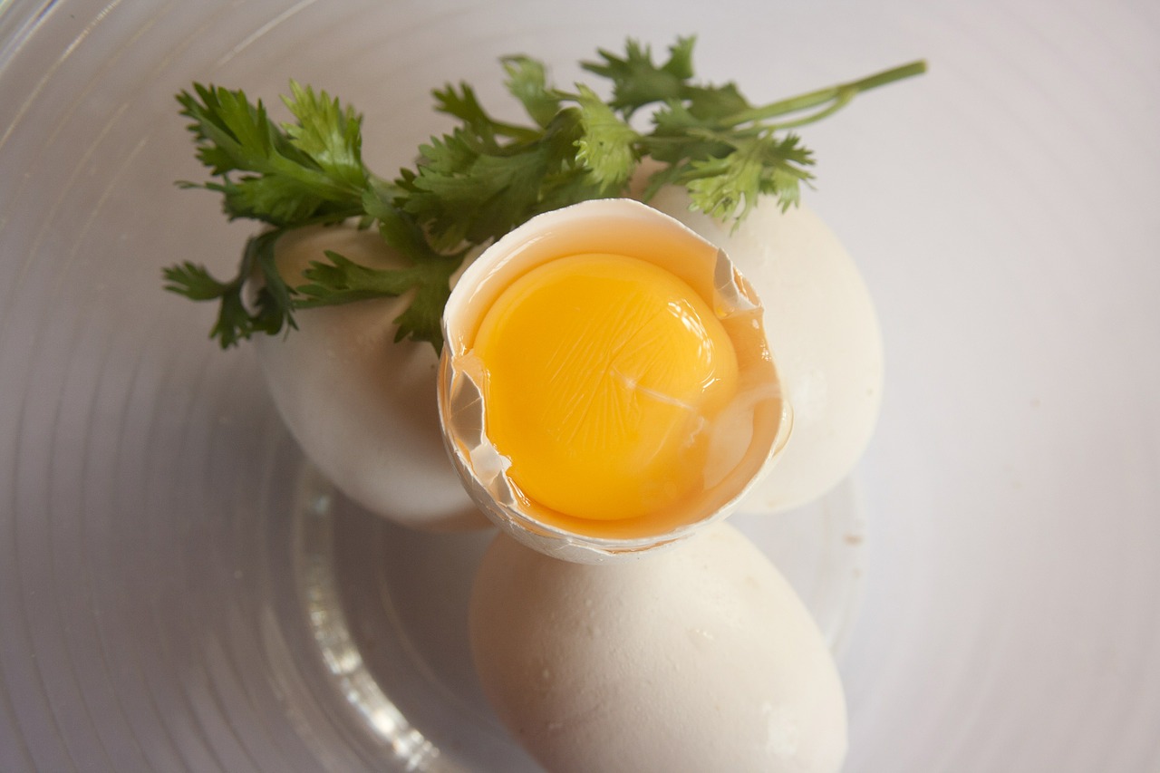 egg egg yolk yellow free photo