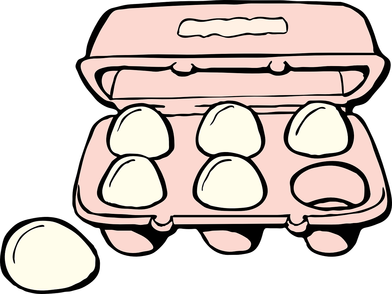 egg carton food free photo