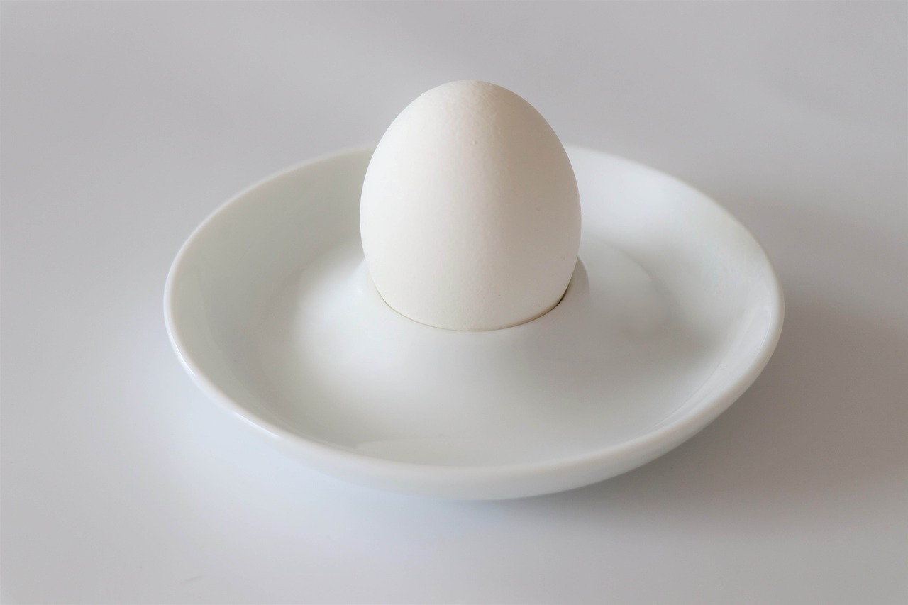 egg  breakfast  white free photo