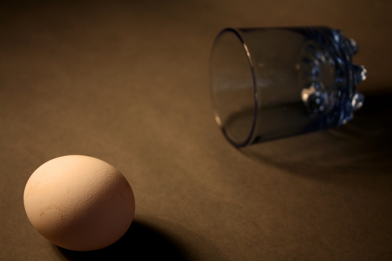 egg glass still life free photo